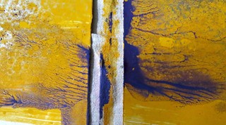 pedro_yellowpurple (1)