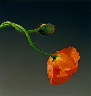 M2011_30_73_labeled
