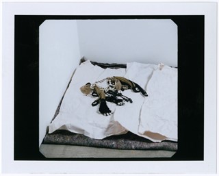 SB_JBPOLAROID04