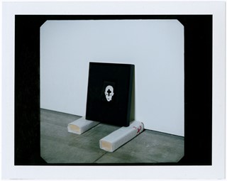 SB_JBPOLAROID07