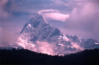 1664499