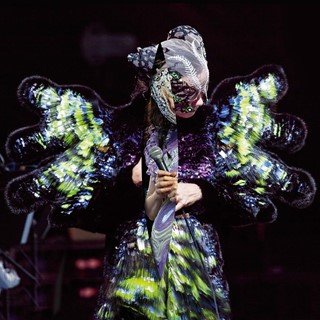 4. Björk, Vulnicura album art