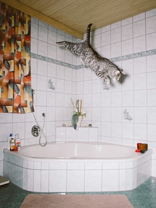 04_B0000730