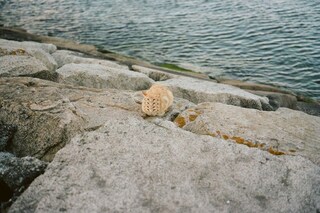 johnny_01