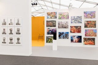Frieze NY