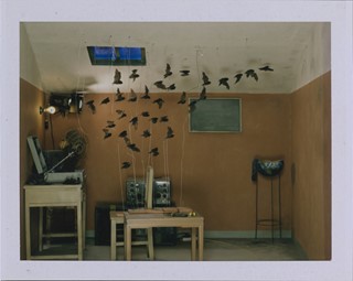 ChenWei_887