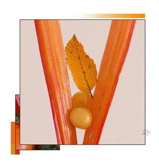 ANOTHER_CIC_HTL_002
