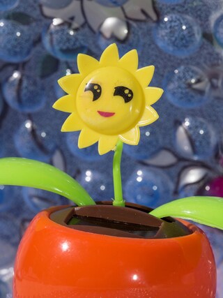 smiling_sunflower