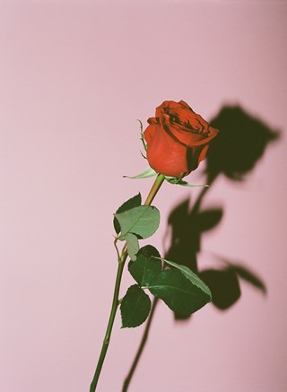 Eric-Chakeen-Rose