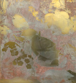 Untitled 3 2014 C Danielle van Ark