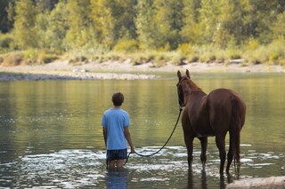 Felten_LeanOnPete_5 2