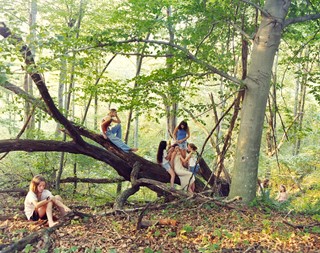 Kurland_Forest