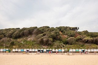 WS-SS-BOSCOMBE