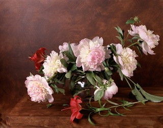 SharonCore_1889_PeonieandRedLily