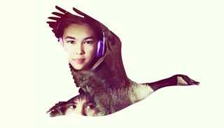 When the Birds Come