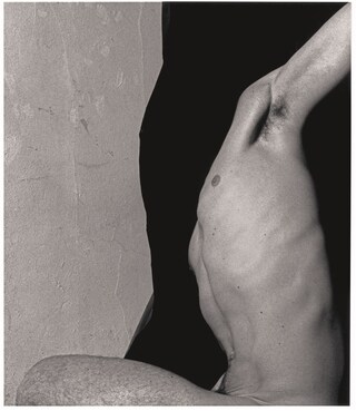 23 - Torso - 1984
