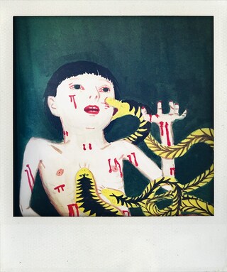 Polaroids by Nick Cave