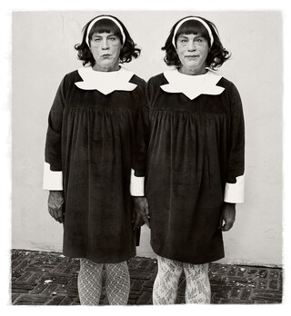 Arbus_Twins-js