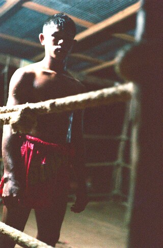 Drew Jarrett Jungle Dreams