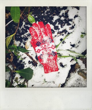 Little Book of Lost Gloves