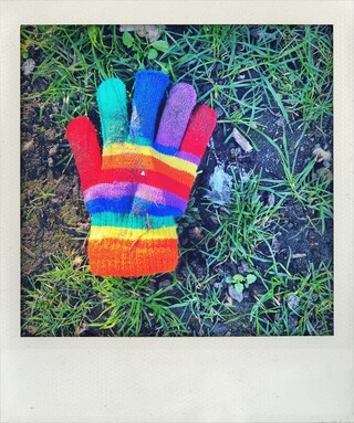 Little Book of Lost Gloves