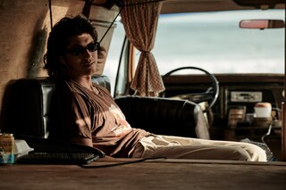 Into The Wild by Matthew Brookes