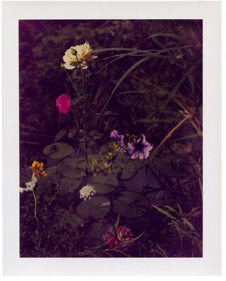 August by Collier Schorr Mack Books