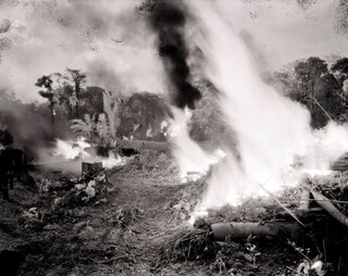 Broken Spectre by Richard Mosse