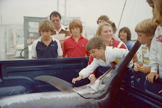 The Beginning by Tina Barney