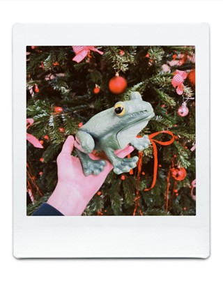 JW Anderson frog clutch bag