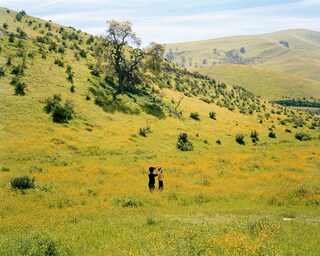 This Train by Justine Kurland