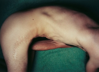 Folio by Viviane Sassen