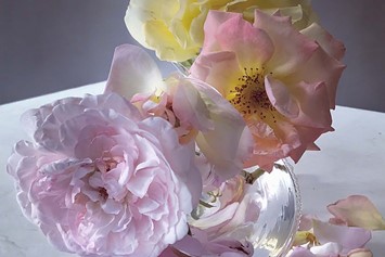 Nick Knight Roses Albion Barn Interview