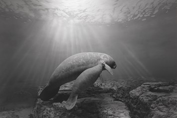 Hiroshi Sugimoto at the Hayward Gallery