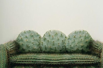 Maurizio Zucchi's Cacti Lounge | AnOther