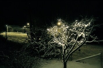I hate this time of year by Eirik Johnsen