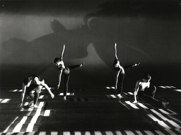 Siobhan Davies Dance, White Man Sleeps