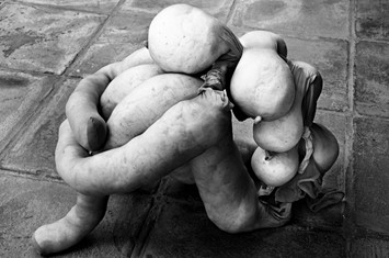 Work by Sarah Lucas, from Tittipussidad
