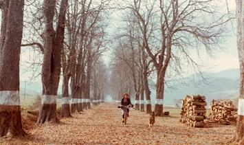 El Sur (The South) Dir Victor Erice pic 3