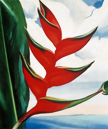 NYBG_Georgia_O'Keeffe_Heliconia