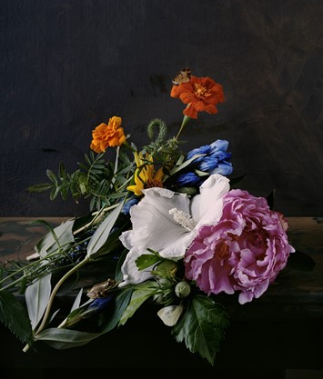 Trompe l’Oeil Photographs Recreating Floral Still Life Paintings | AnOther