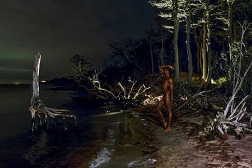 To Die Alive by Matthew Leifheit, Damiani