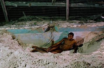 To Die Alive by Matthew Leifheit, Damiani