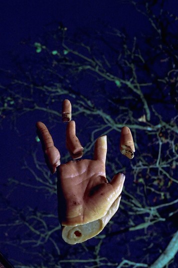 To Die Alive by Matthew Leifheit, Damiani