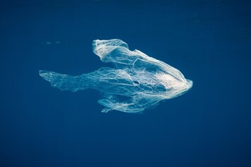 State of the Oceans Parley for the Oceans