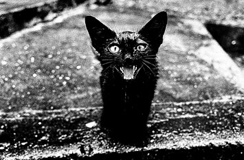 Image Shop Camp Arles Daido Moriyama