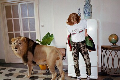 Miu Miu Givenchy Gucci Stella McCartney Cats in Fashion