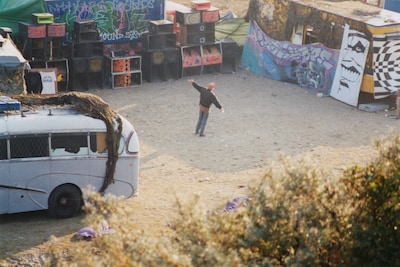 Vinca Petersen Raves and Riots
