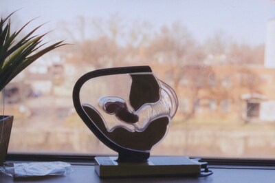 The Last Safe Abortion by Carmen Winant