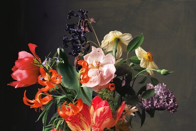 SharonCore_1661_DutchBouquet